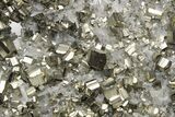 Gleaming, Striated Cubic Pyrite Crystals on Quartz - Peru #231533-1